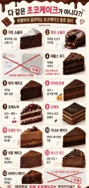 취향 따라 골라먹는 초코 케이크