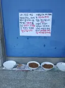 캣맘에게 잘못걸린 디시인