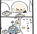 먼작귀)물고기 도로