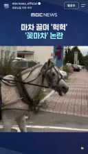 자칭 동물 애호가들에게 공격 받는 말 전문 수의사.