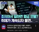 캄보디아 취업 최신 근황