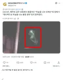 2023년 페루에 나타났던 외계인의 정체