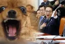 이제 박선원 수석 당선과 김용 서미화 안정적으로 들어오면 바랄게 없네요