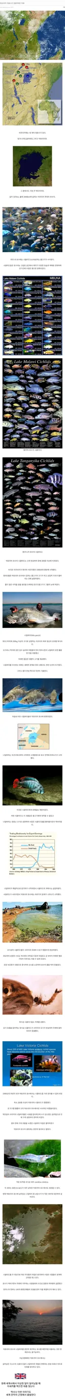 아프리카 빅토리아 호수 생태계가 붕괴된 이유