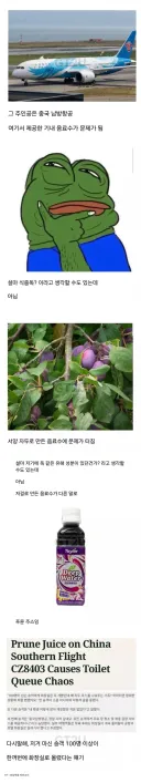 중국 항공사 기내식 대참사