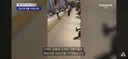 일본여행 간 사람들 공항에서 12시간동안 노숙했다고..