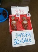 광복절에 잡힌 문어.jpg