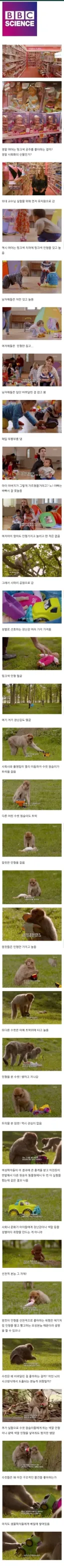 남녀 차이에 대한 bbc실험 jpg.