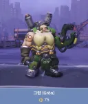 오버워치)그런 스킨이 대체 어디 있냐고 ㅋㅋㅋㅋㅋㅋ