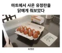 유정란을 들입다 많이 사와버린 사람의 최후