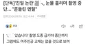 이게 광복절 지난 이후에 나오는 기사구나