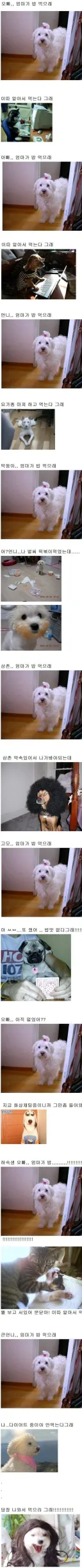 오빠 엄마가 밥 먹으래.jpg