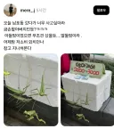 "이런 시장 바닥에서 뭐 살게 있다고..."
