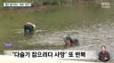 의외로 한국인을 많이 죽인 동물.jpg