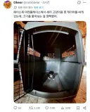 "펫 캐리어를 싸게 팔아서 일단 샀는데"