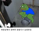 학교 변기가 깨끗한 이유.jpg