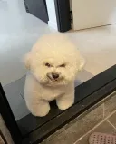 "야야 똥싸냐?ㅋㅋㅋㅋㅋㅋ"