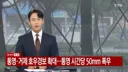 중국을 박살낸 태풍 돌핀의 잔당 근황