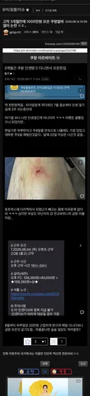 3개월 만에 1000만원 벌어간 쿠팡알바 갤러 논란 ㄷㄷ…