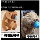 중국에서 한국까지 걸어온 인형