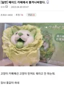 메이드 카페에서 쫓겨난 이유.jpg