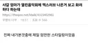 케톡 : 샤갈 엄마가 열린음악회에 엑스러브 나온거 보고 화려하다 하는데