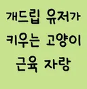 개드립 유저가 키우는 고양이 근육 자랑