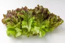 억울한 누명을 쓰고 살아온 반찬