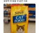 "정말 맛없어 보이는 고양이 사료."