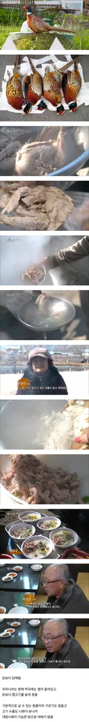 우리나라에서 닭보다 한급 위로 쳤던 고기.jpg