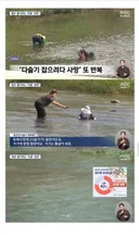 의외로 한국인을 많이 죽인 동물