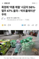 폭염에 '여름 제철' 시금치 56%·열무 47% 올라···'히트플레이션' 우려