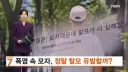 더위에 모자 쓰고 다니면 탈모가 일어날까?