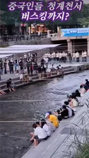 청계천 중국인 관광객 근황...