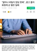 일베 근황