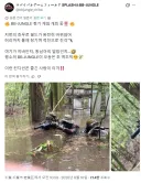 이번에 홍수가 난 치바현의 서바이벌 게임 필드 근황.