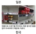 재난 상황 일본과 한국의 차이점.jpg