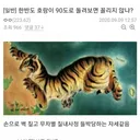 19) 한반도가 은근히 꼴리는 이유 ❤️
