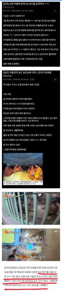요즘 폭염속에 교도소 근황