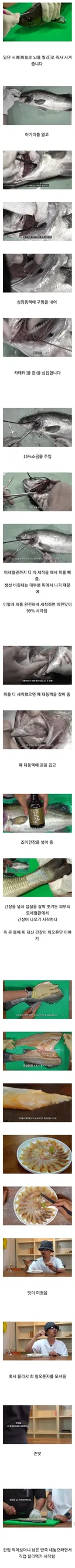 혈액을 간장으로 교체한 생선 회