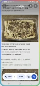 일본 사이트 사슴벌레 사육법 찾아보다 놀람