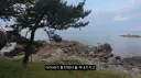 최근 수리부엉이가 먹이로 잡고 있다는 동물