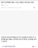 블루아카) 단단히 미쳐버린 인간쓰레기 선생님.jpg