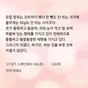 쥐가 귀여워봤자 얼마나 귀엽다고.... 싶어 검색해봤는데