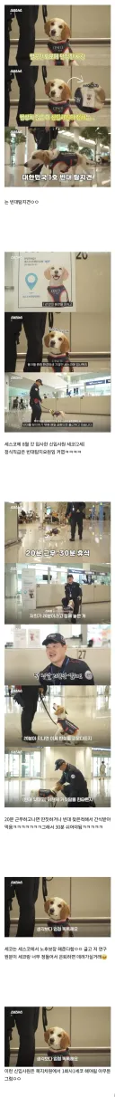 20분 일하면 30분 쉬려고 한다는 빈대 신입사원