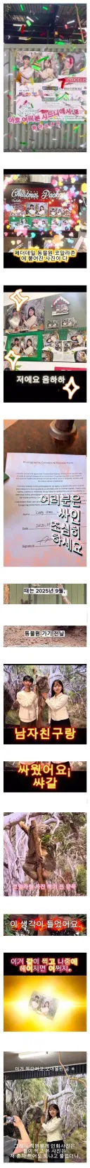 사진 공짜로 찍었다가 호주 명물이 된 한국인 커플