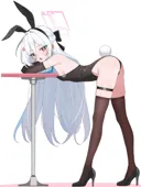 블아)바니걸 케이