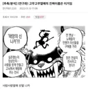 예언 적중했던 원피스 분석글