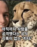 야생에서 사람을 공격한 적이 없는 동물