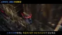 스파이더 그웬의 탄생 배경.jpg